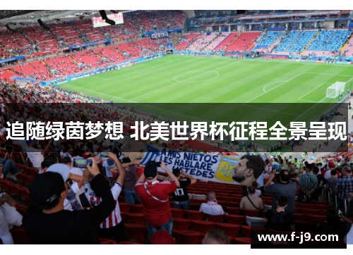 追随绿茵梦想 北美世界杯征程全景呈现 追随绿茵梦想 北美世界杯征程全景呈现